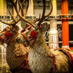 Rentiergespann Rudolph