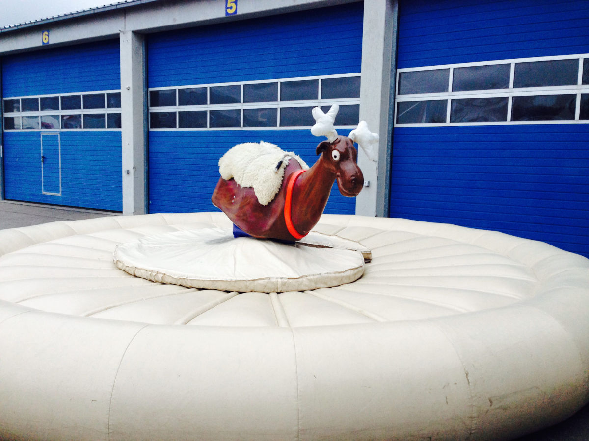 Ertl Rodeo Rentierrodeo Vermietung – ERTL Karussell-Land
