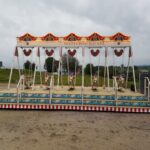 Schiffschaukel Seepferd